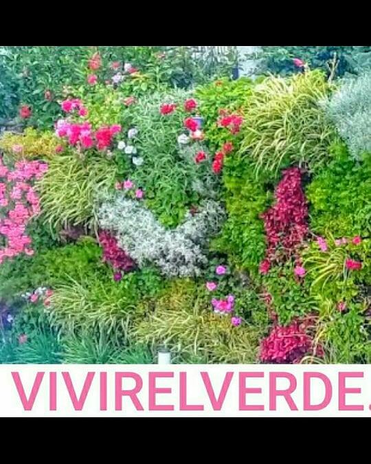 laurapassano's tweet photo. Vivirelverde. Jardines verticales- terrazas verdes- riegos automaticos https://t.co/fD84FREiGM