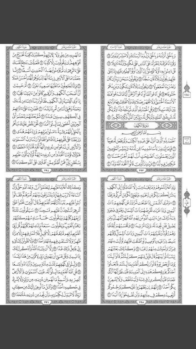 خـلـود. tweet media