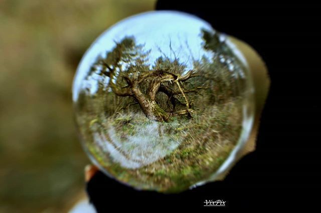 Friday's Lensball

#lensball_photography #lensball_world #lensball_gram #lensballphotos #crystalballphoto #crystalballphotography #photographystyles #photooftheday #treespirit #tree_lovers_daily #tree_pictures #thebeautyofnature #agameoftones #jessopsmom… ift.tt/2V7k8lm