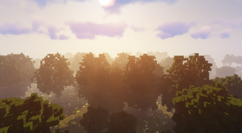 TheBuildSociety's tweet photo. some more pics of biomes
#trees #minecraft #server #shaders https://t.co/lAGehe7pV4