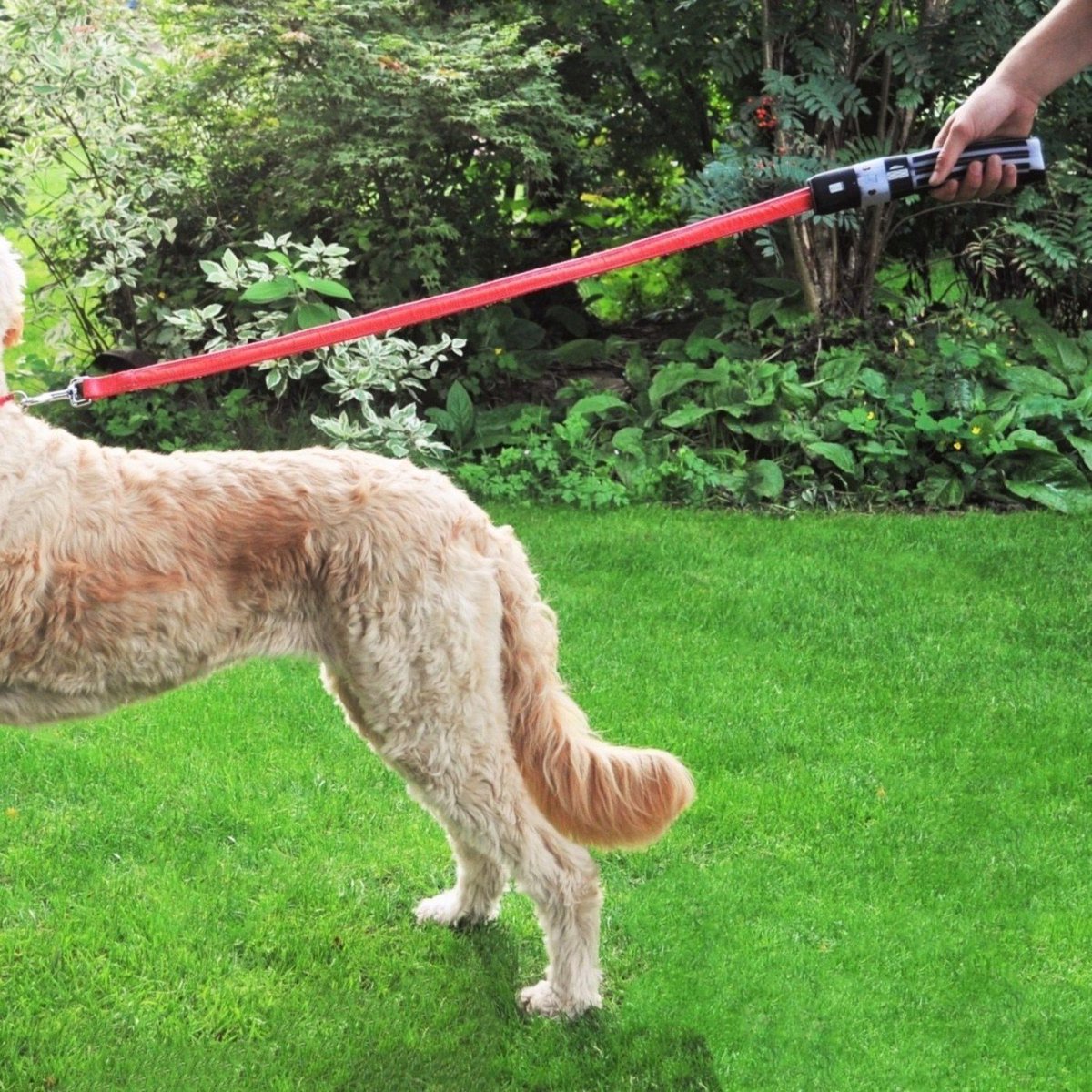 trendaffe.de tweet media