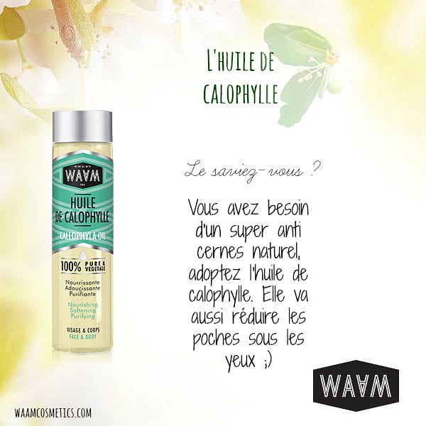 WAAM Cosmetics tweet media