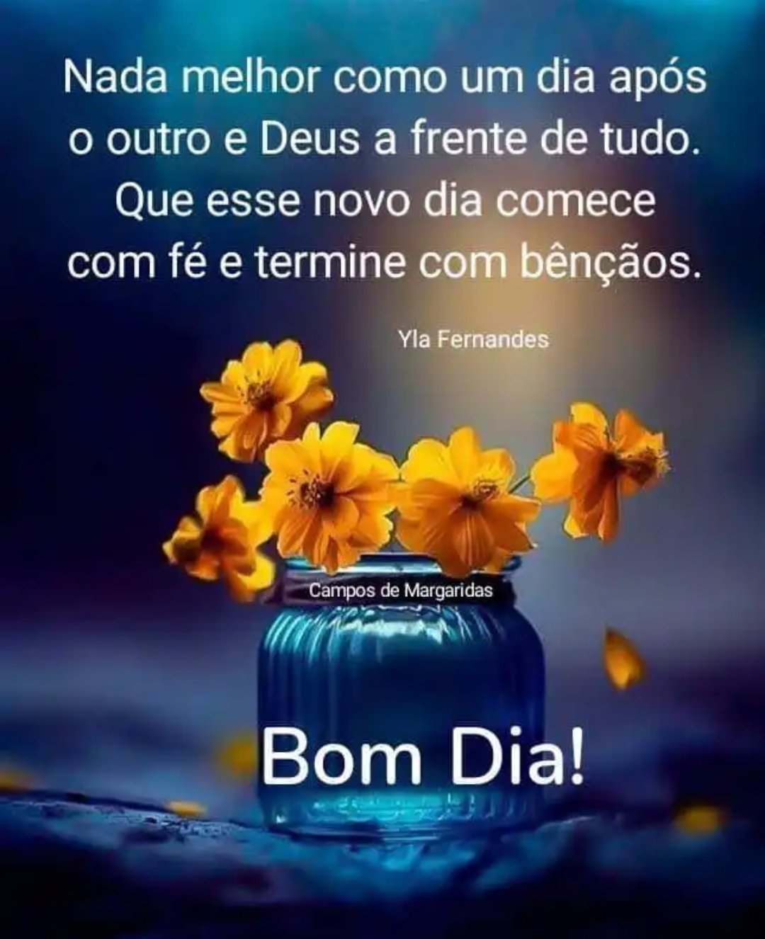 🇧🇷 𝙂𝙞𝙡𝙗𝙚𝙧𝙩𝙤 🇧🇷🇧🇷 on Twitter: 🇧🇷 𝙂𝙞𝙡𝙗𝙚𝙧𝙩𝙤 🇧🇷🇧🇷 on Twitter: