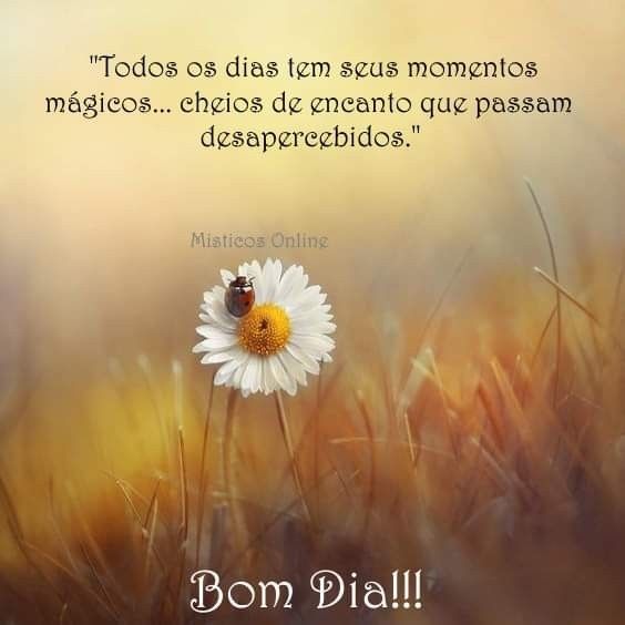 Misticos Online on Twitter: Você é quem escolhe cores e caminhos💜  #misticosonline #misticos #tarot #tarotonline #bomdia #cor #alegria #sextou  #pazeluz  / X