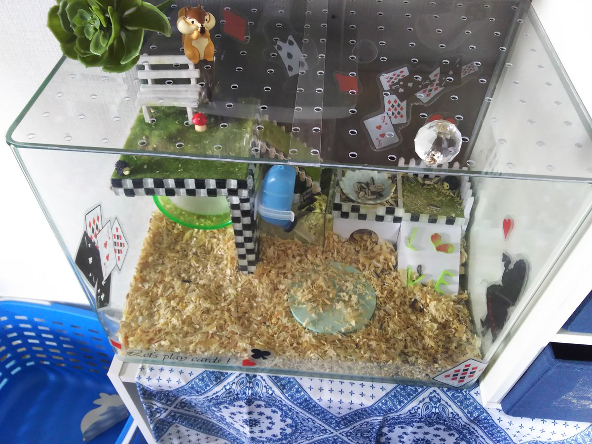 Jammama 3y 1y ハムスターの水槽ゲージの蓋 な無かくて どうしようかなーと思ってたんだけど セリアに透明な有効ボード みたいなの売ってたから 二枚買ってきて蓋にしてみた 開けるほうの蓋にはタンスの取手付け替えた時に余った
