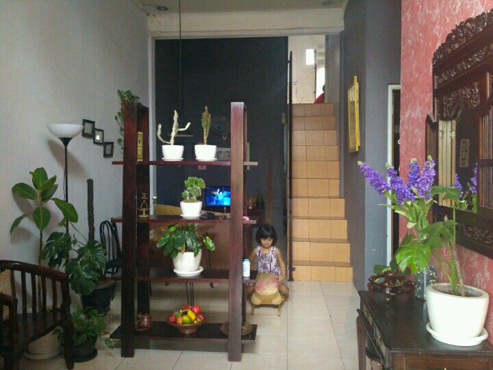 Jiungggggg's tweet photo. TWITTER PLEASE DO YOU MAGIC! 
Assalamualaikum Wr Wb,
Bagi yg melihat tweet saya mohon RT nya ya teman2🙏
Keluargaku sedang bu banget, jd mau jual rumah. mohon bantuannya, minimal dishare deh :( terima kasih bnyk, semoga diberkahi selalu.
Lokasi : cinangka depok https://t.co/RtGwz4rNfx