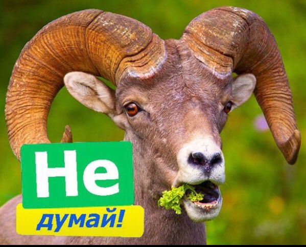 На кампанію Зеленського гроші дали не тільки його друзі, а й знайомі Портнова і Фукса - Цензор.НЕТ 3134