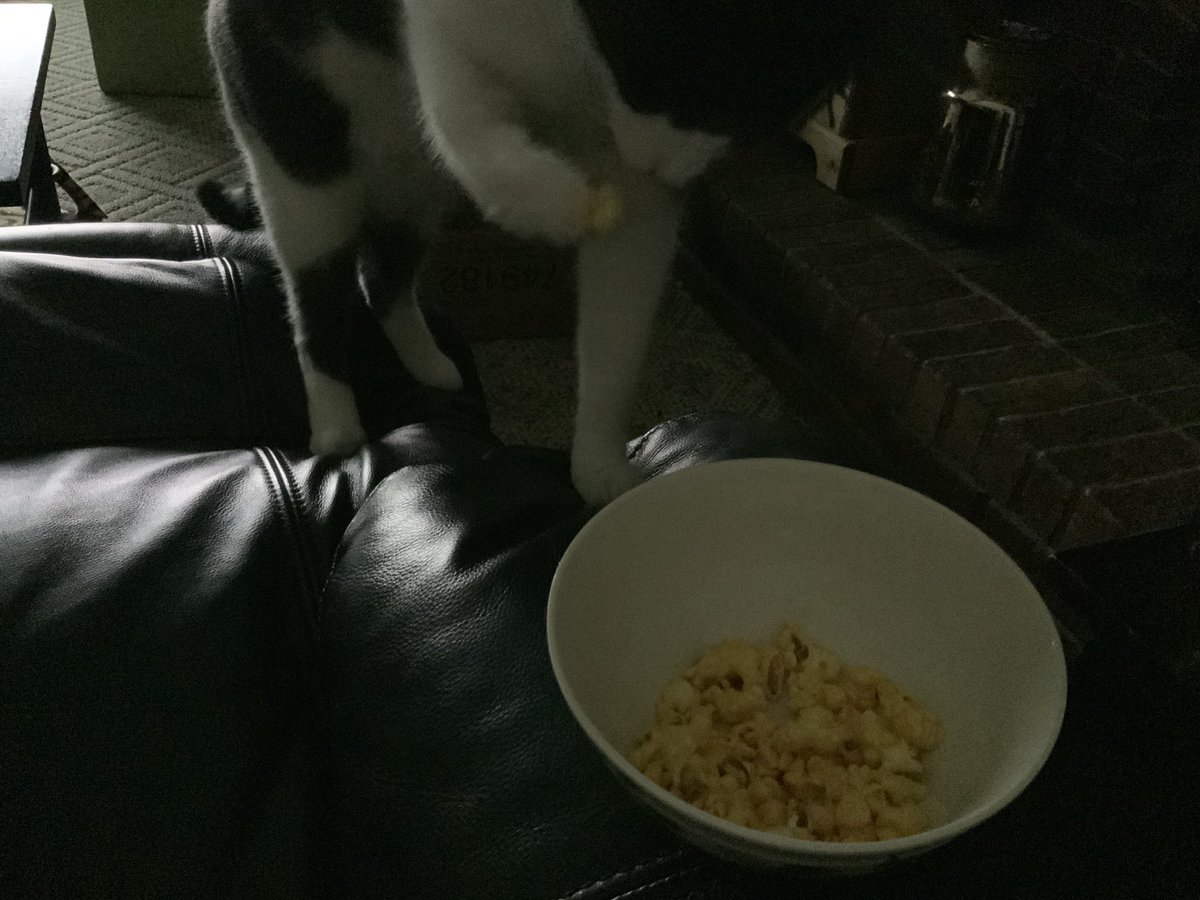 possiekitty's tweet image. Sharing safari snacks #safarilive