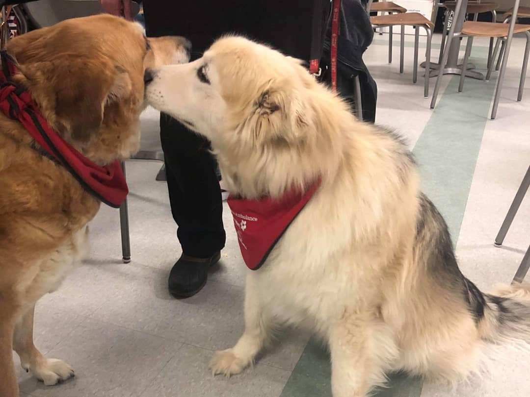 jackorgnucc's tweet image. ✨ Such a wonderful night!! ✨
Thank you to everyone who came out, to all of our amazing speakers and everyone who helped make this event possible! ☕💙 We had a great turn out and have so many more photos to come! 😊 Thank you again everyone! #JackAndMe