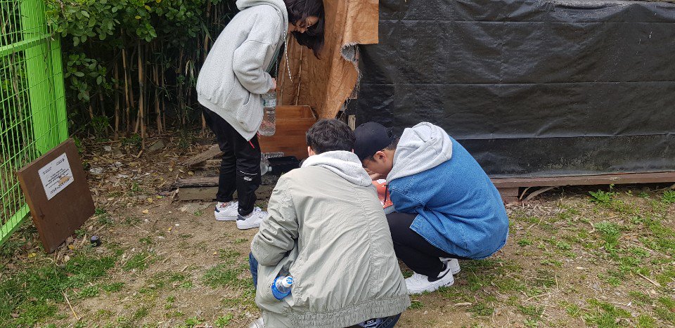 sooksookcat's tweet photo. 3월 29일. 오늘은 동아대학교 동아리 '냥아치'  학생분들이 봉사를 와주셨어요. 봉사를 와주신 분들에게도 을숙도 고양이들에게도 행복한 시간이었을거예요. 누군가의 배를 채워주는 일만큼 기쁜 일이 있을까요? https://t.co/aRGhJLRfG0