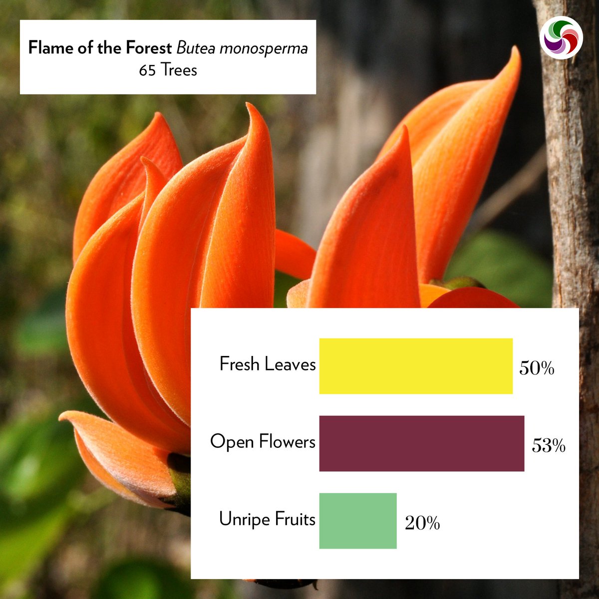 SeasonWatch tweet media