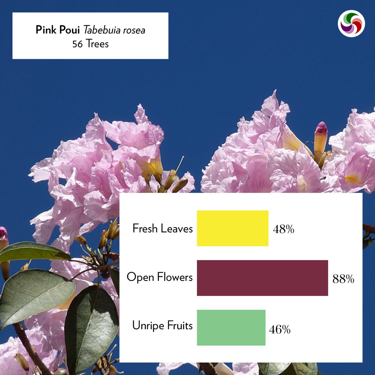 SeasonWatch tweet media