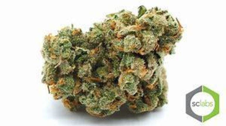 CSECONDKINGDOM's tweet photo. #Grapecookies, #MothersFinest, and #GlueTech -- We have a #strain of #flower for everyone!!! Much more fire at @CSECONDKINGDOM 🔥 https://t.co/eBLcsLoOp5