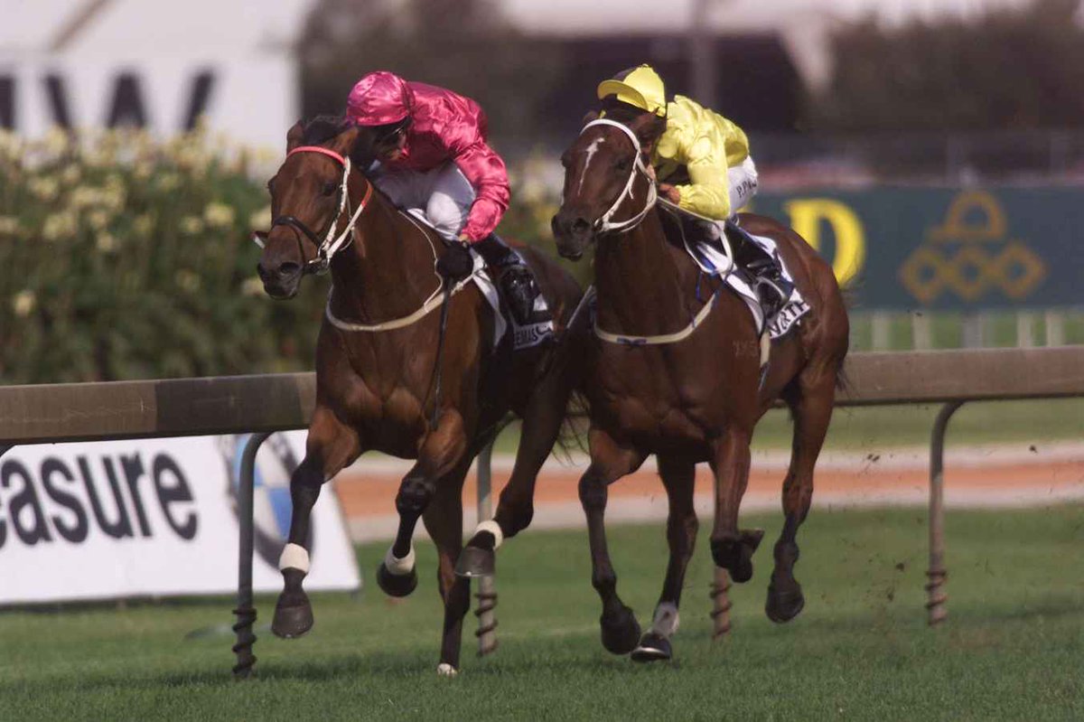 #FlashbackFriday The Tancred Stakes has a fair few champions in its winners list - Kingston Town, Bonecrusher, Beau Zam, Might and Power, Tie the Knot, plus the thrilling finishes; Makybe Diva/ Grand Armee, Octagonal/Arkady, Ethereal/Universal Prince &amp; Freemason/ Northerly (pic)