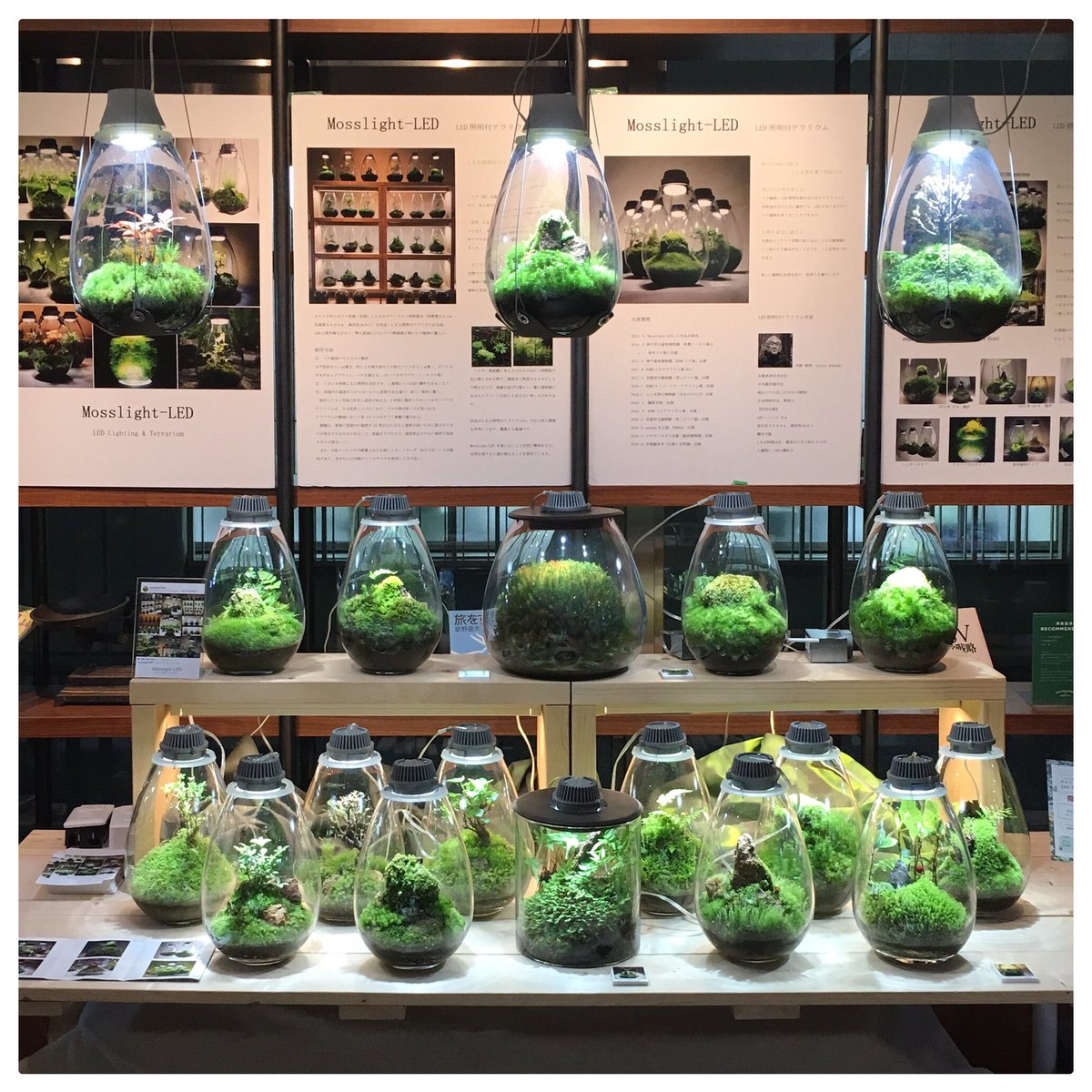 Feel The Garden Sur Twitter 東京 体験型植物イベントkabolo 3月31日まで 入場無料です 期間 3月22日 金 31日 日 場所 茅場町駅8番出口直結 Cafe Salvador 詳細は下記url又はプロフィール欄のリンク先からご確認下さい T Co 4dcczvrqxo 日本橋 茅場