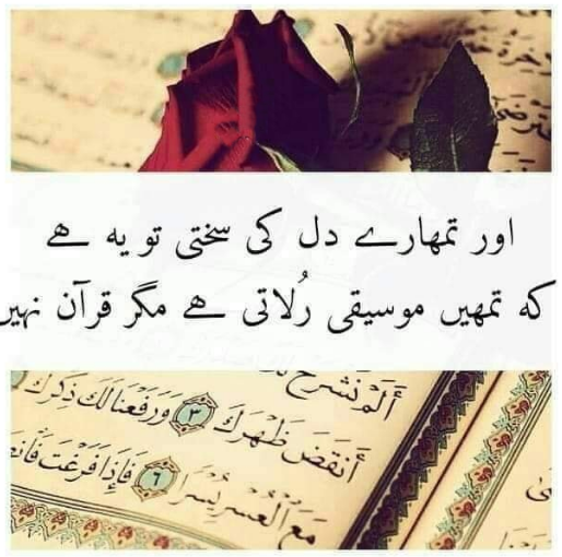 RidaCh_Mux's tweet photo. #JummahMubarak https://t.co/CGUmmUAwdL
