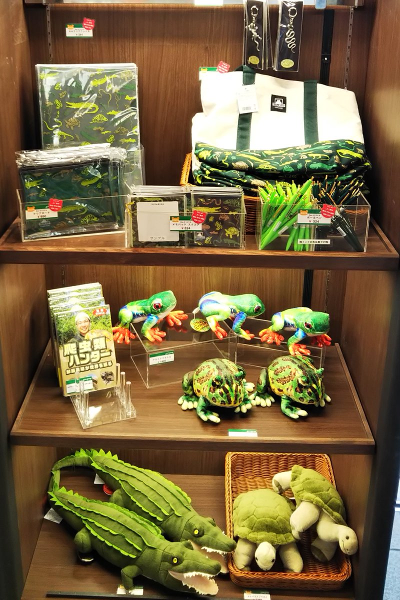 爬虫類用品　まとめ売り 西園の両生爬虫類館では特設展示「ハラペコロジー」が開催中ですが