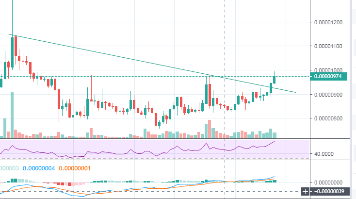 CryptoFreak tweet media