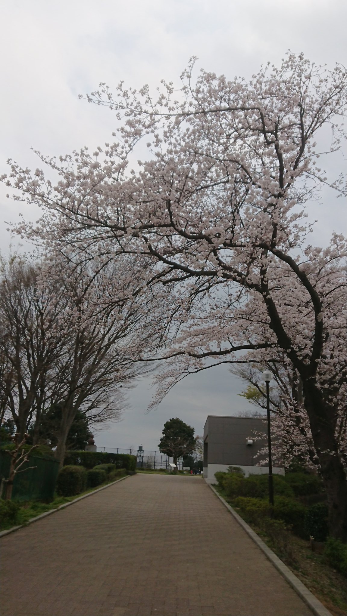 野毛山公園 Twitter Search Twitter