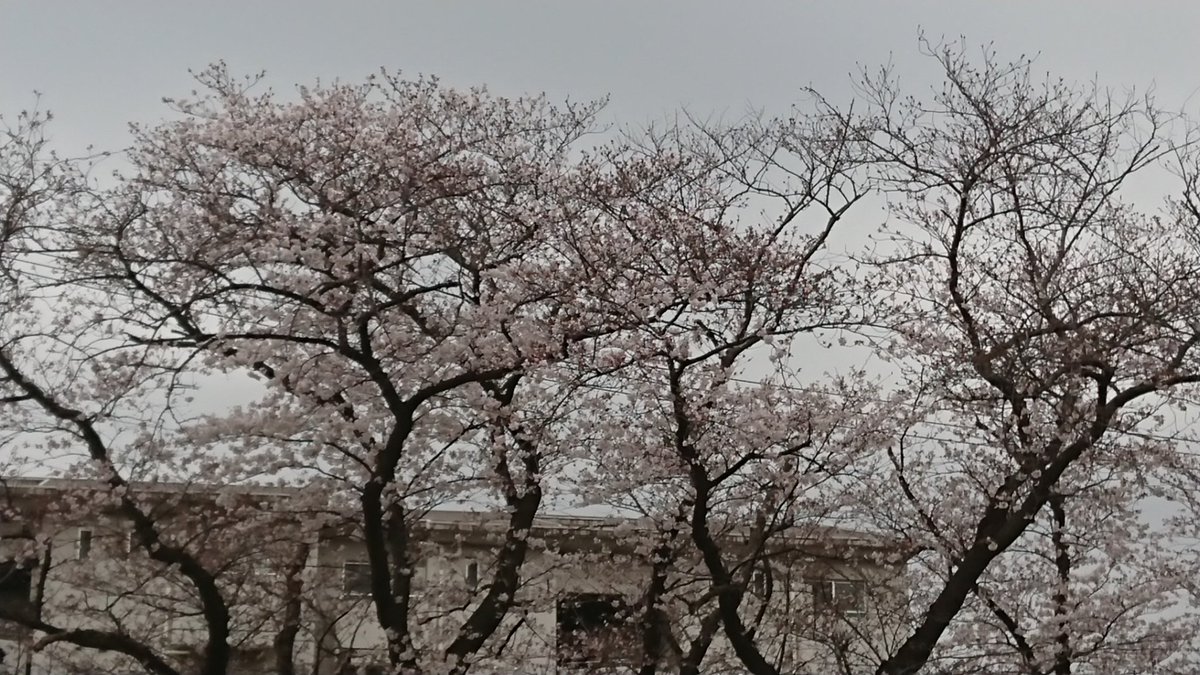 野毛山公園 野毛山公園