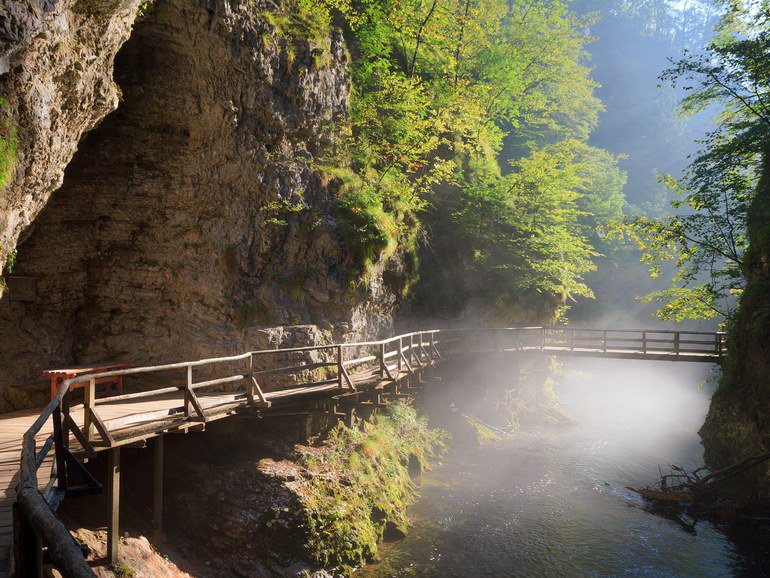 CNTraveler's tweet photo. 12 amazing reasons Slovenia should be on your travel bucket list https://t.co/dtCchQ957t https://t.co/kx7fVjATyR