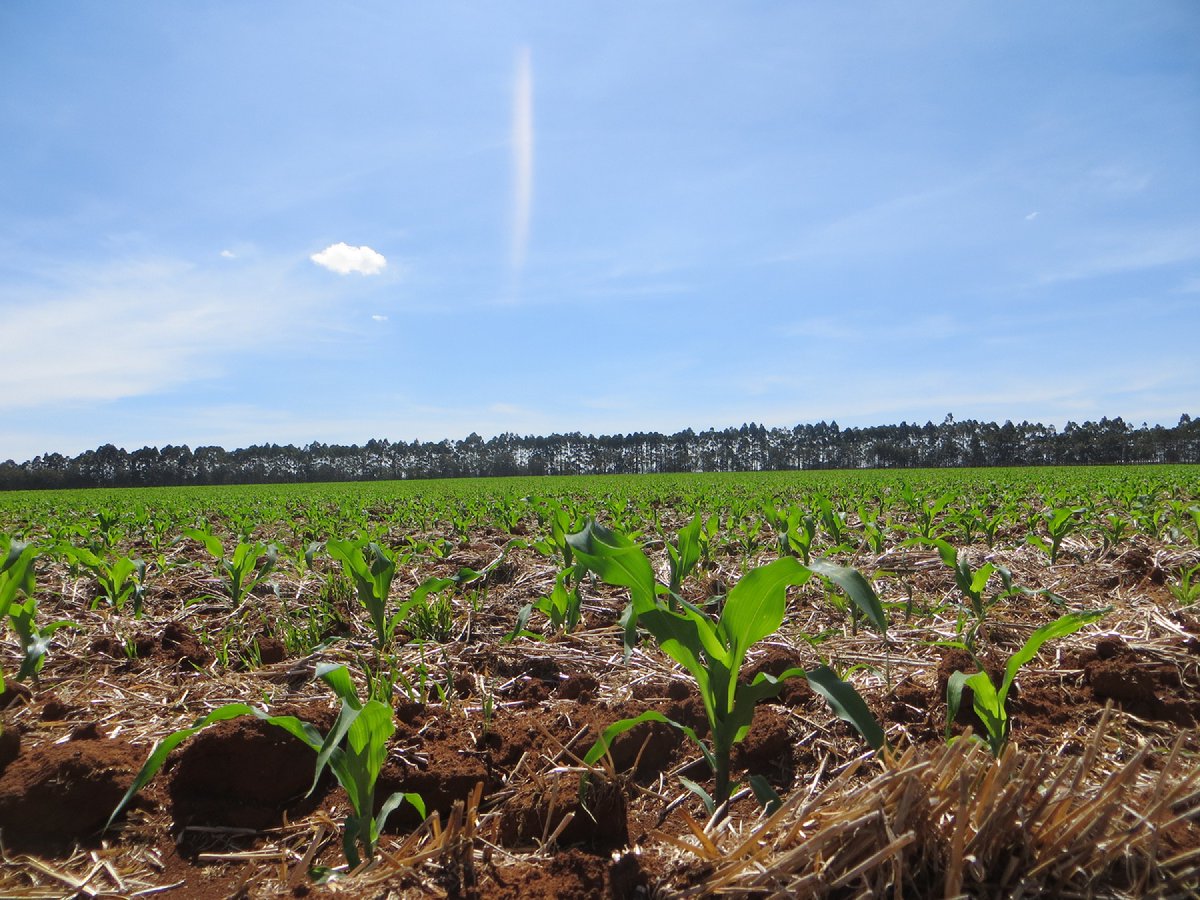 Most of Kenya’s adult population has grown up being taught that agriculture is the backbone of Kenya’s economy.

If it is the small-scale farmer that is growing these agricultural exports why don’t the livelihoods of small-scale farmers reflect export earnings?
#FarmersUnderSiege