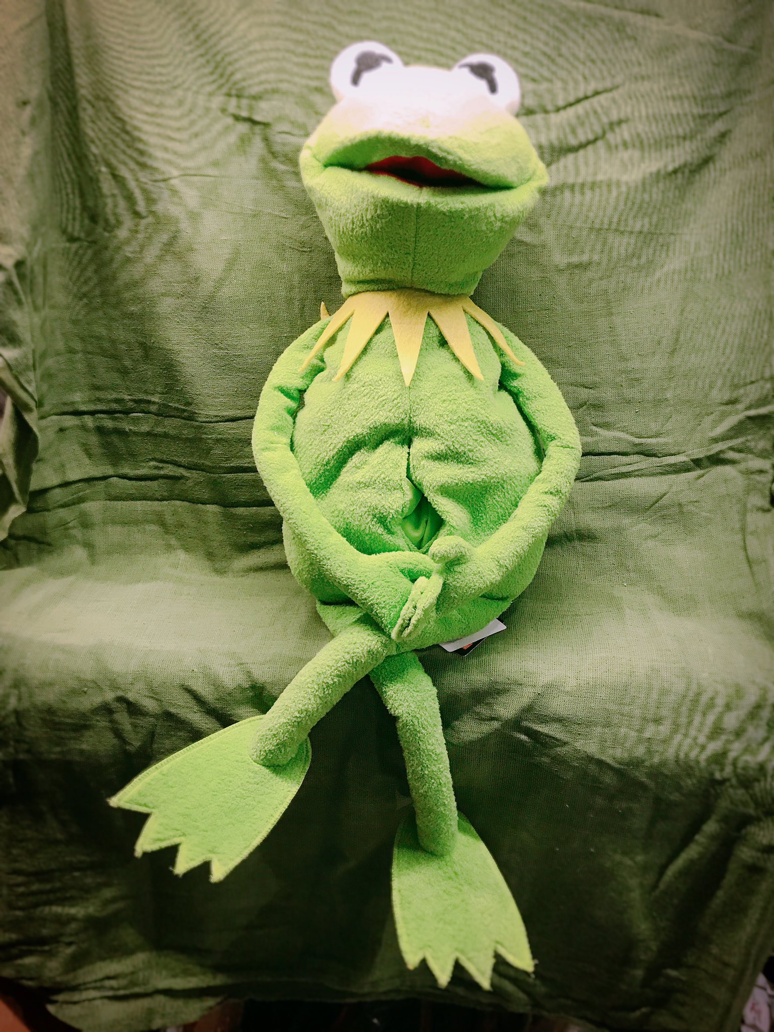 ヴィレッジヴァンガード 柏マルイ على تويتر 生活の一部にカーミット この存在感バッチリのカーミットはぬいぐるみではなくなんとティッシュカバーなんです お腹からティッシュを出す仕様となっております 是非お手にとってご覧ください