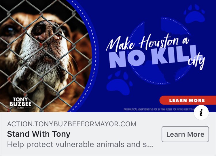 YP4TonyBuzbeeTV's tweet photo. @TonyBuzbee is an advocate for expanding no kill animal shelters in Houston. 🐶————🐈————🐶
Will you stand with him to ensure the safety of these vulnerable animals?
#StandWithTony #NoKillShelters #BetterWithBuzbee https://t.co/DtMyegteZj
