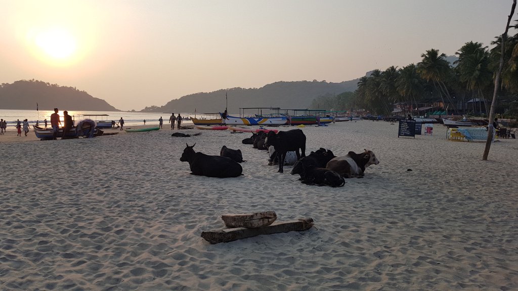 EveryAdventure_'s tweet image. GOA, SOUTH INDIA: PALOLEM everydayadventuresblog.com/2019/03/29/goa…