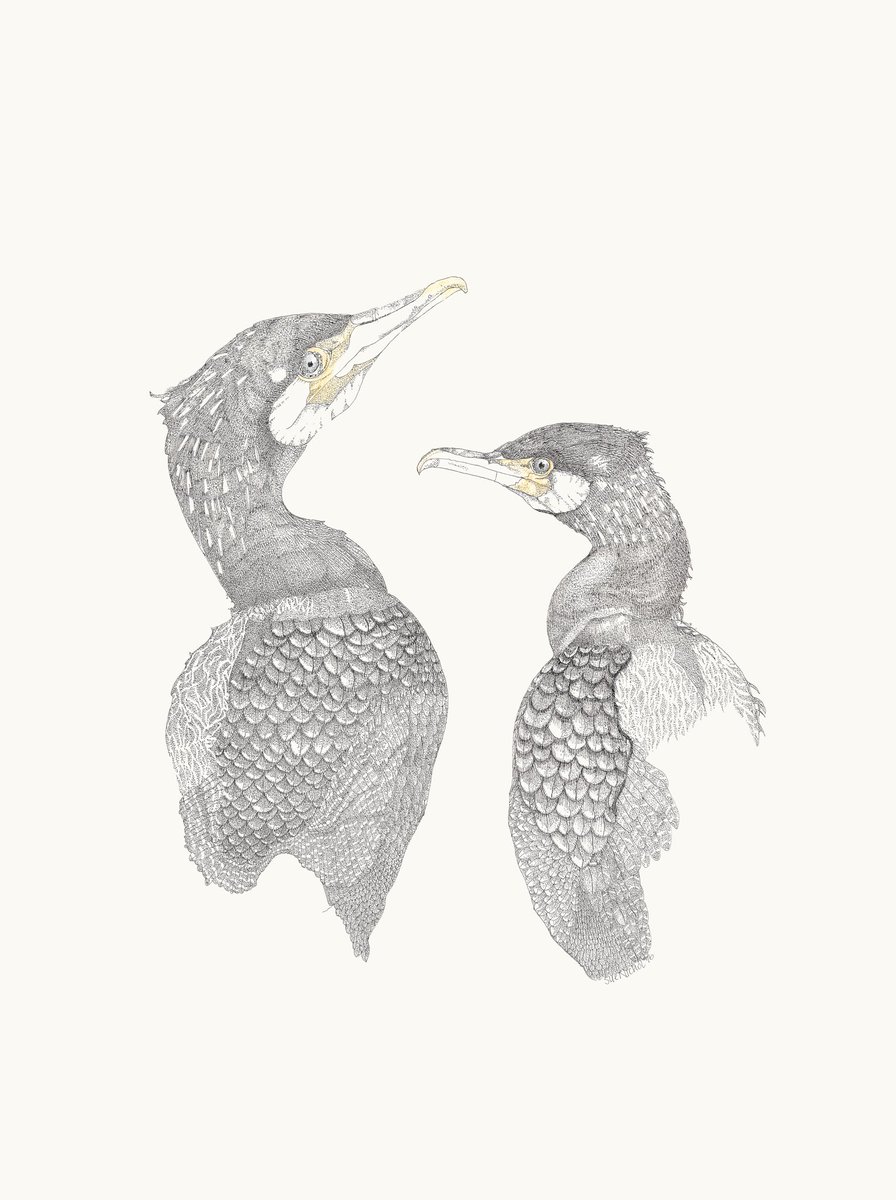 staithesartist's tweet image. #marchmeetthemaker Day 29 #mostdifficult Big paintings showing all the cottages in Staithes, painting cobles, pen and ink drawings and Lino cuts as you have to reverse the image. I like the challenge though. It is like working out a problem. Nice when you get to the end.