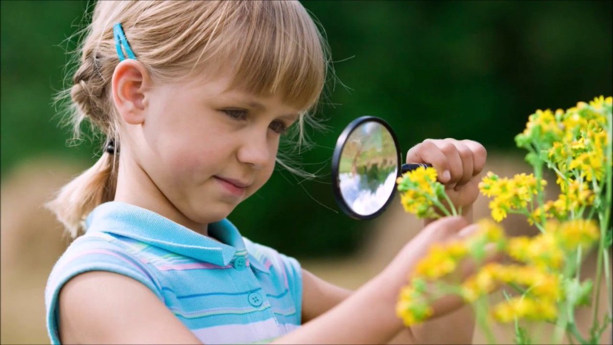 + de biodiversité pour mon quartier ! 🐜🌾🐝🐞 Une démarche proposées par  le GDIE avec des fiches pratiques. Des activités qui peuvent être menées avec vos #classes ! #AfficheTaNature 👉 buff.ly/2HVcJ4M