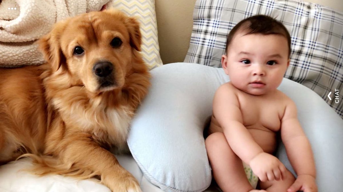 Aristigooool17's tweet photo. 🐶 👶 https://t.co/DuqqtiEhdy