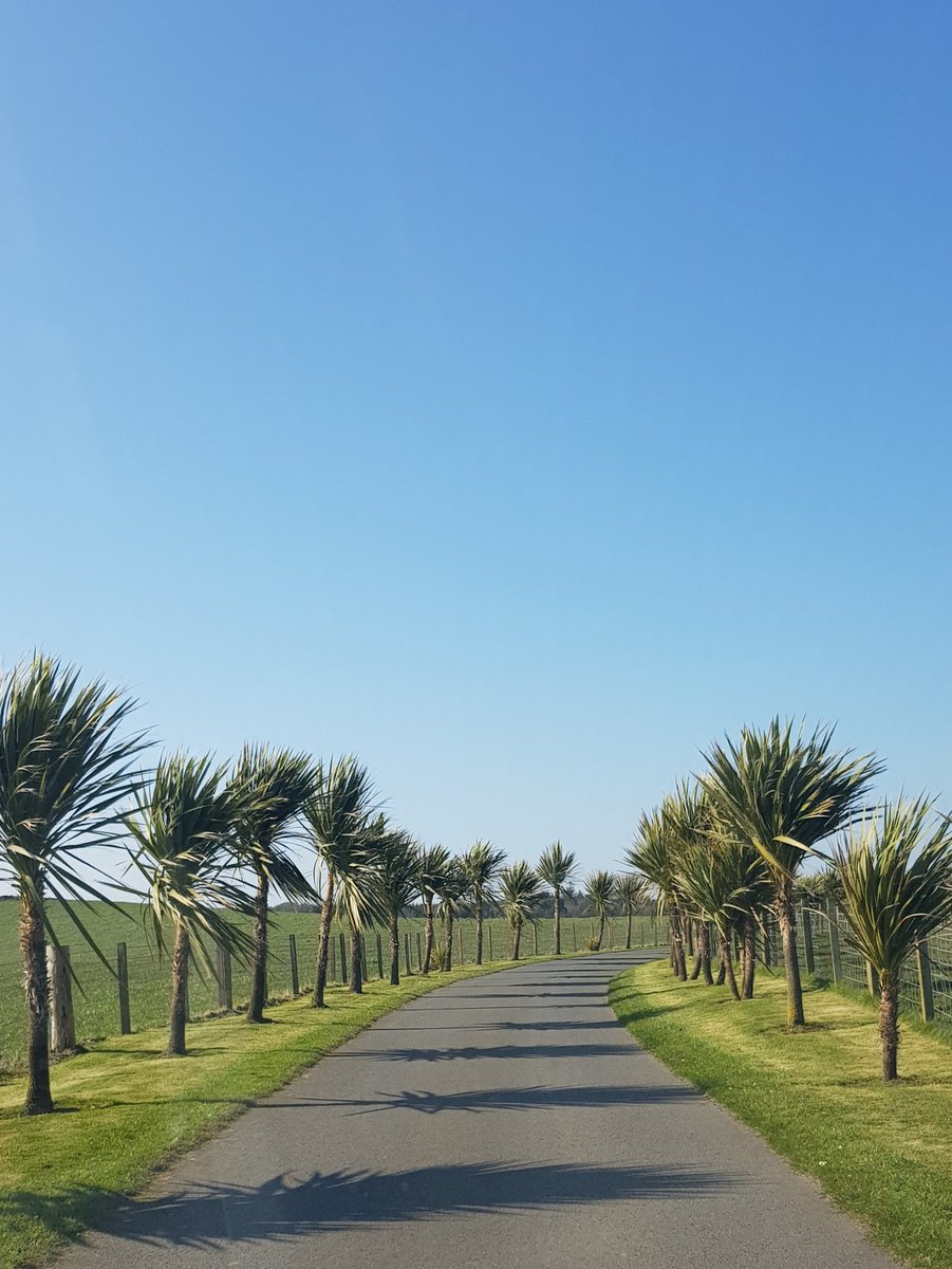emmamereta's tweet photo. Had a lovely day exploring the very South and West of Scotland today. #MullofGalloway #Portpatrick #VisitSWScotland #ScotlandIsNow #DGWGO #VisitScotland #DumfriesandGalloway https://t.co/cxjWCi0xMb