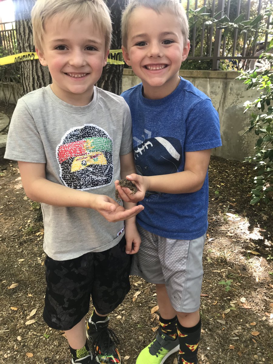 Kelly/Wood Kinder tweet media