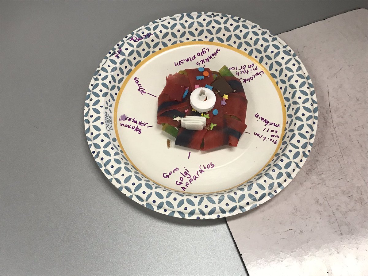 girvansclass's tweet photo. What a great way to review parts of a cell by having the students make one themselves #TMESEagles #lovethisactivity https://t.co/De1DLEHIBU