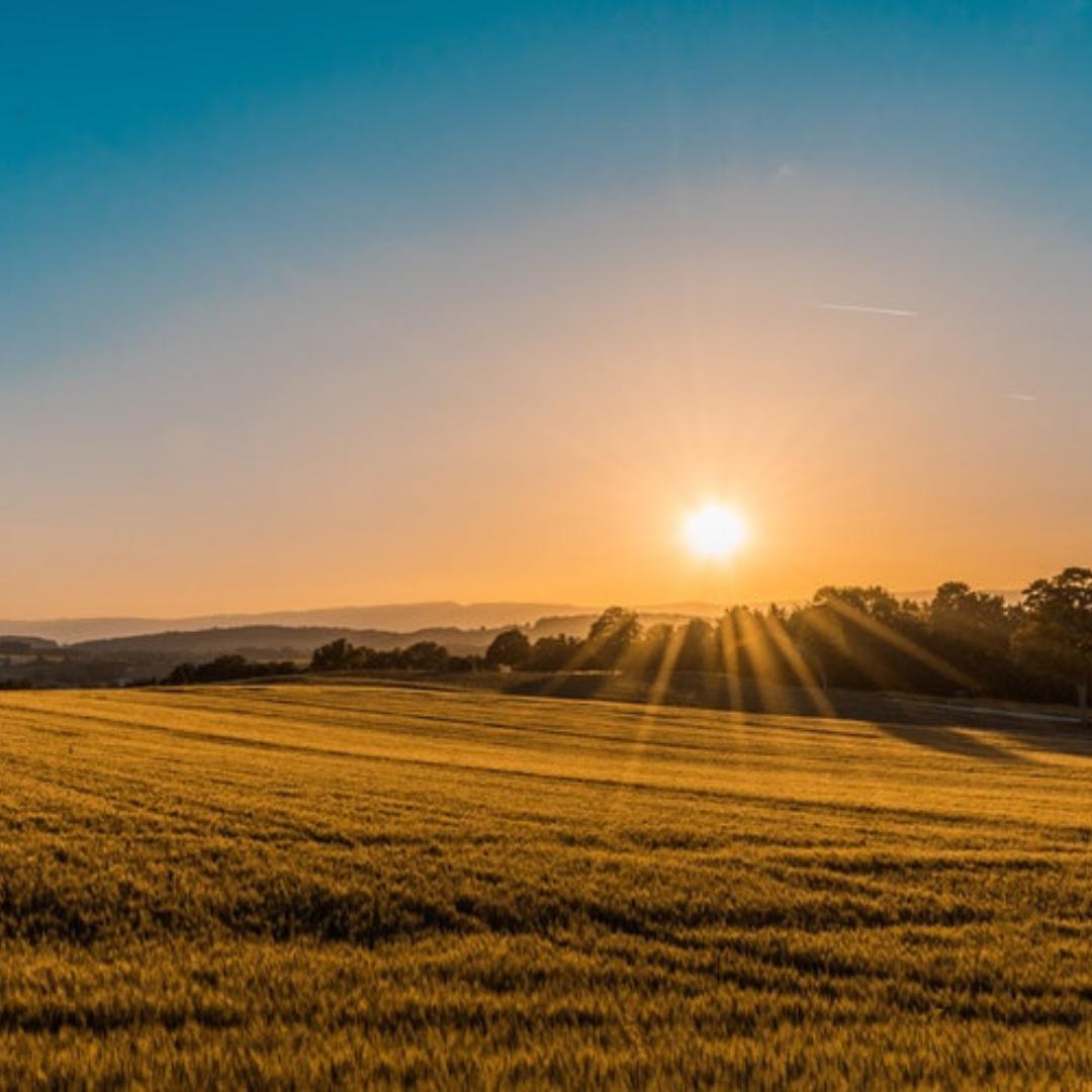 HartlawLLP's tweet photo. If you are looking to sell land for development, make sure you have all the information you need.
Give Matt a call on 01937 547009.
#CommercialProperty #CommercialLand #land #landdevelopment #buyingland #sellingland #buyingandselling #developingland #development #legaladvice https://t.co/ODY0VDfChq