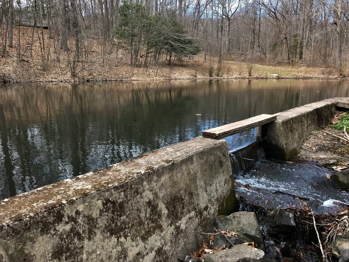 petermarteka's tweet photo. Berlin has acquired quite an impressive swath of open space and in turn it has protected the town’s rural heritage. So come take in a sunset or explore the seemingly endless trails and open spaces of 5 preserves.
#Berlin #Chotkowski #KensingtonOrchards
https://t.co/Cusgf2e5Wv https://t.co/aKs9RMUhex