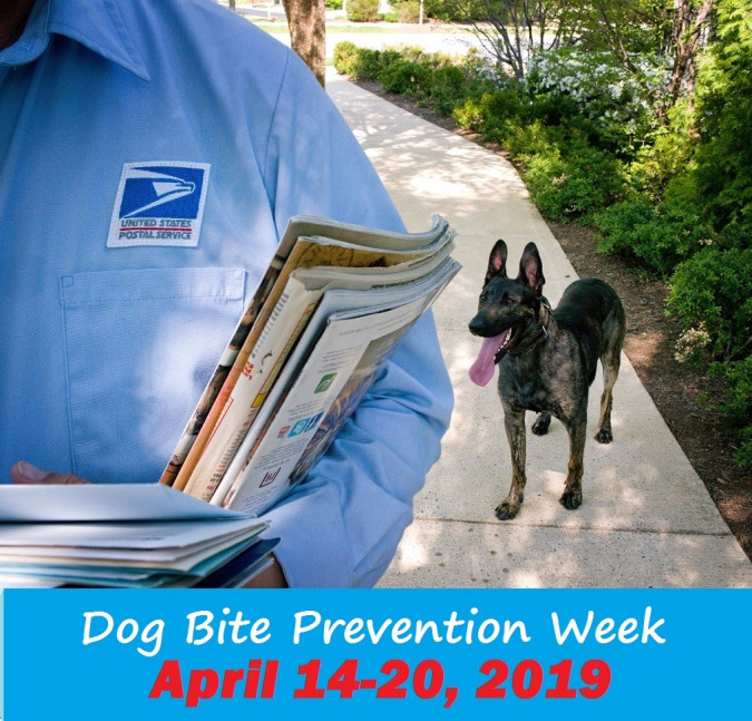 USPSCorpComm's tweet image. 5,714 Postal Service employees were attacked by
dogs in 2018.  Please help keep our carriers safe by restraining your pets while mail is being delivered. #USPS  #PreventDogBites