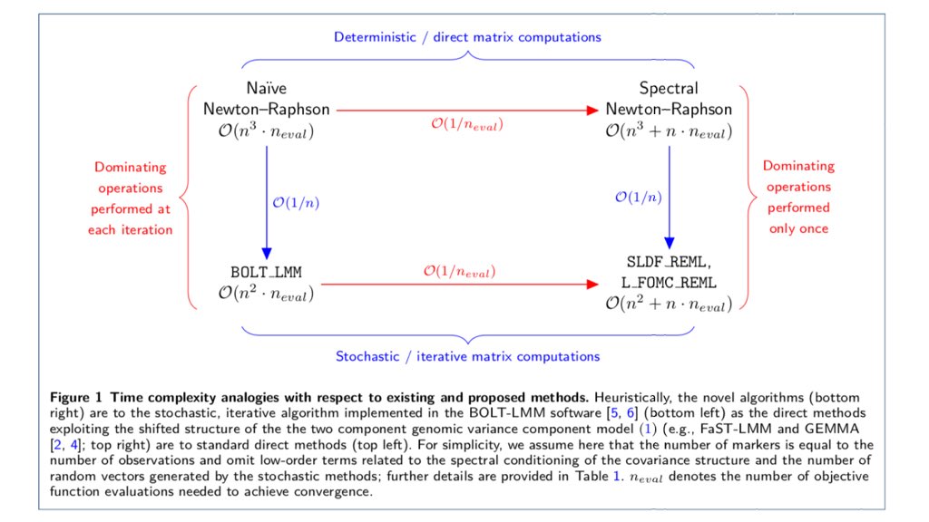 competing interactions and patterns in nanoworld