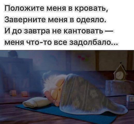 какие планы на выходные. открытки с юмором. положите меня в кровать. какие планы спать. планы на выходные.