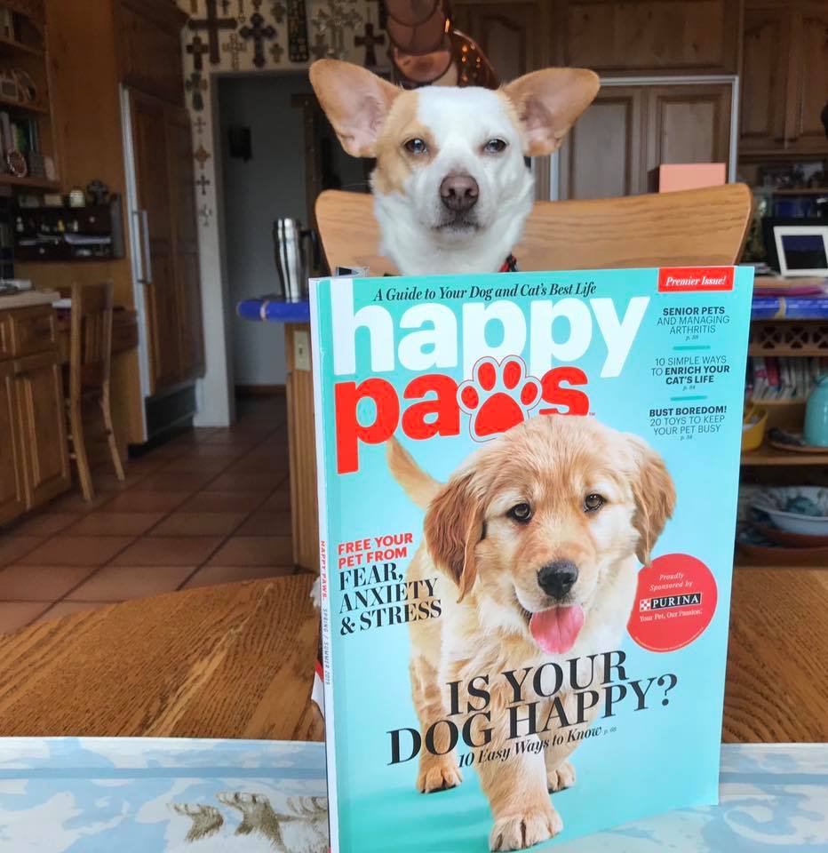 online canadian pet store