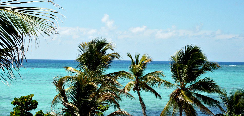 Loco Gringo Inc. tweet media