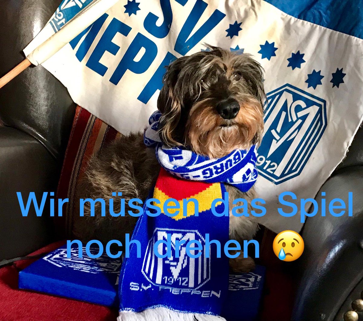 ASpecken's tweet photo. @svmeppen1912 https://t.co/B1z000yvt6