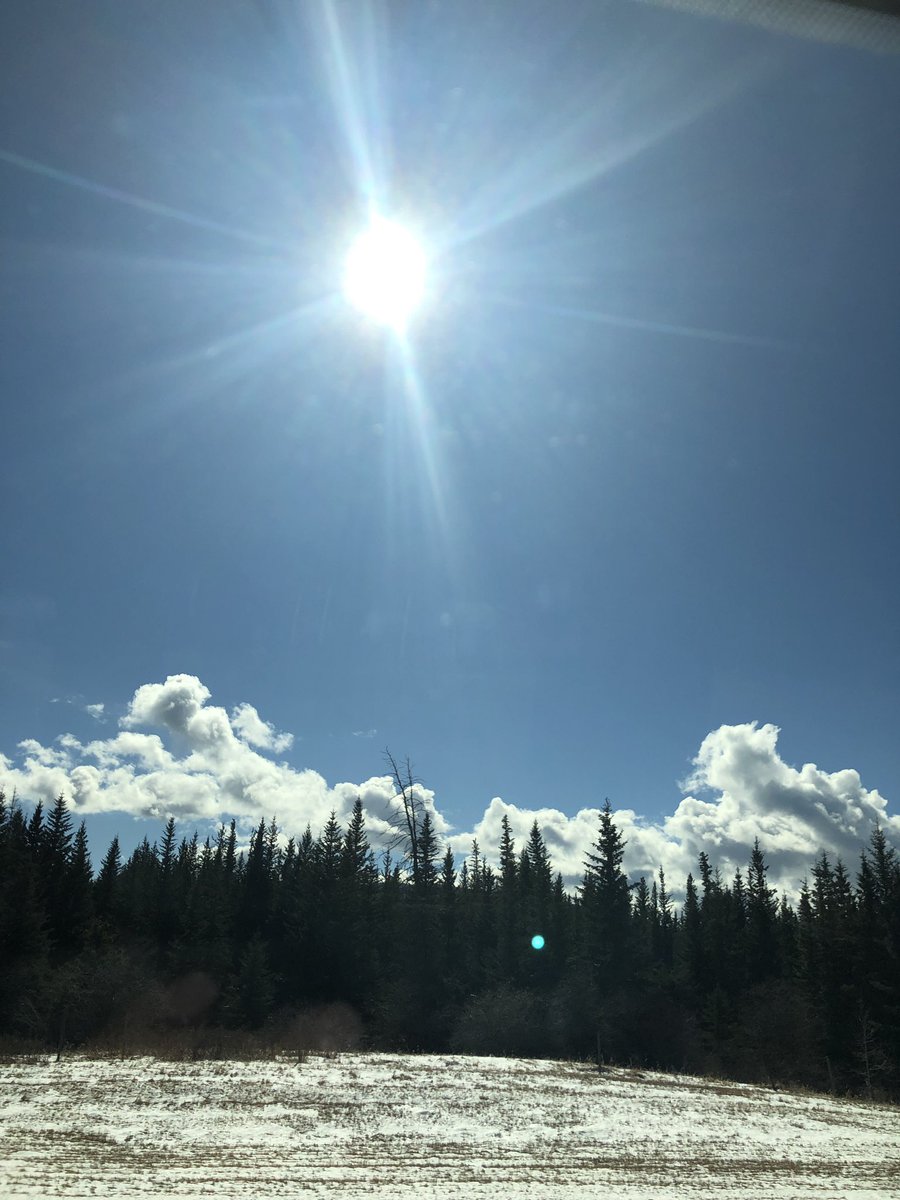 SusanaMoscatel's tweet photo. Por si algún día quieren respirar ... #JasperHalfMarathon #TravelAlberta #VentureBeyond #AdNova #explorealberta #adnovarunningteam https://t.co/McA9XhCSVP