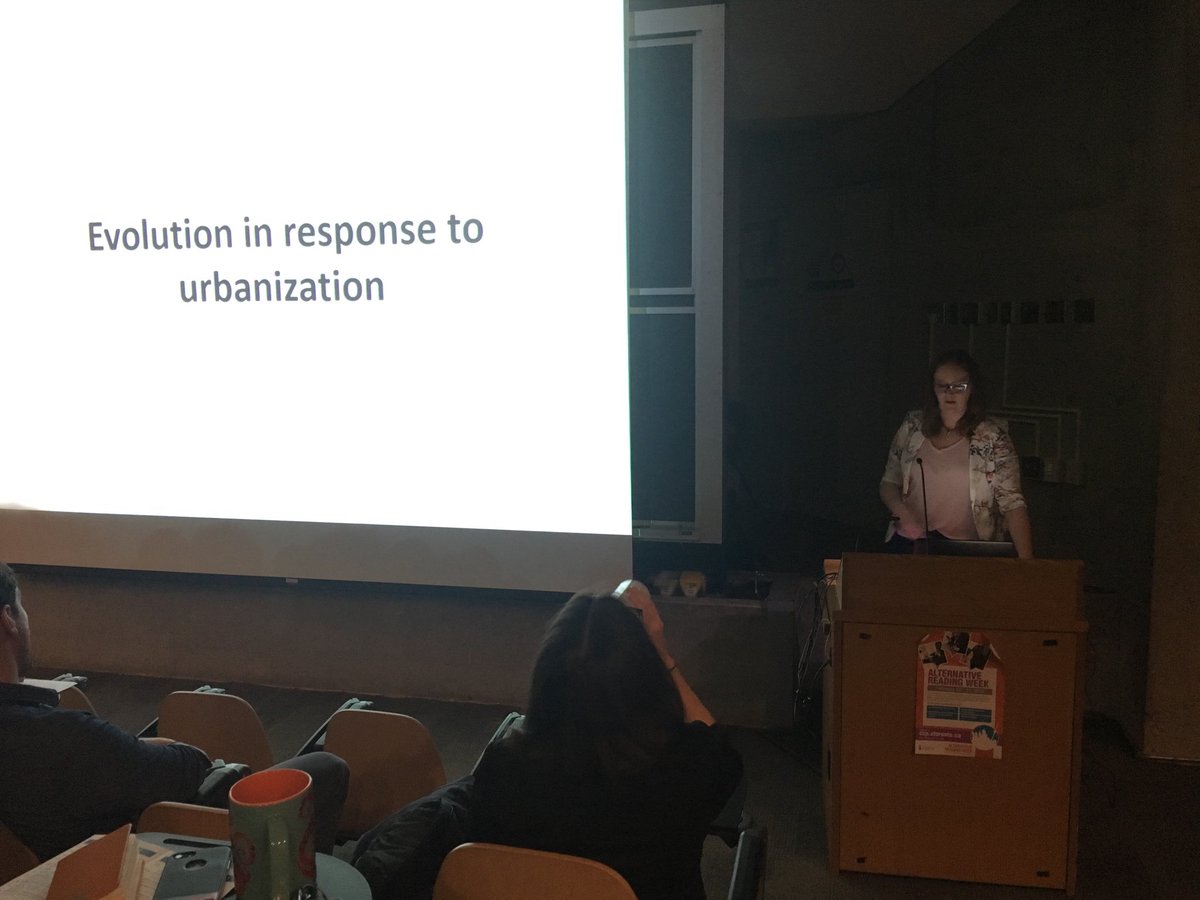 evoecolab's tweet image. ⁦@lindsay_s_miles⁩ speaking at #Atwood19 about how urbanization affects #geneflow in black widow spider in SW USA. ⁦@eebtoronto⁩ ⁦@UofTArtSci⁩ #UrbanEvolution
