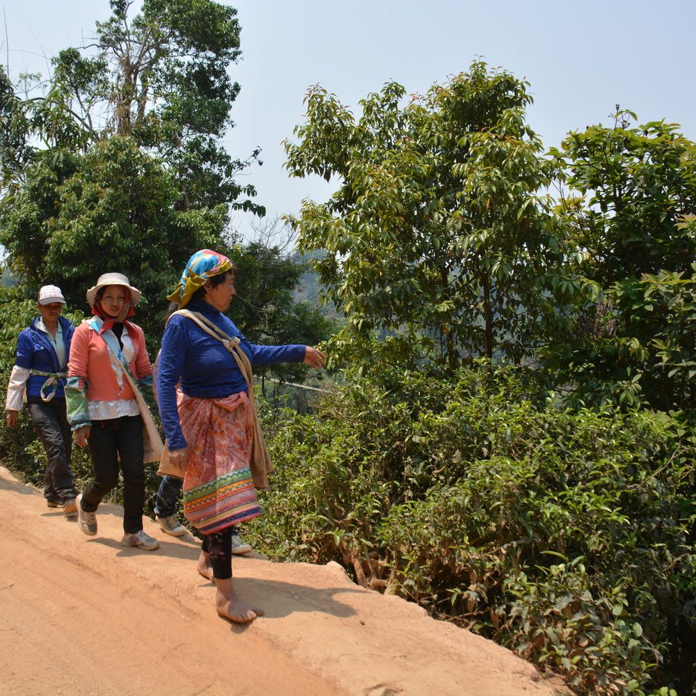 WorkShopRes's tweet image. Sipping Tea, Tying Knots, Making Brooms - mailchi.mp/workshopreside…