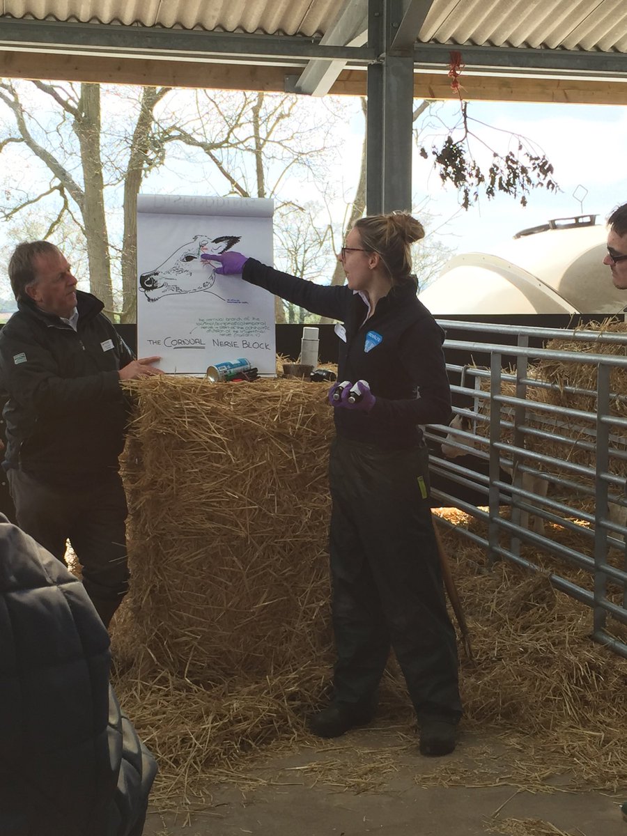 SimonFryar's tweet image. Informative and enjoyable day with our rearers, great people can do great things! A big Thank You to ⁦@Boehringer⁩ ⁦@LLMteam⁩ ⁦@meadowquality⁩ #bestpractise #lovecalves