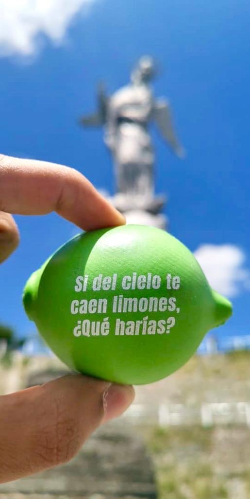 caroml2011's tweet photo. Mi Quito tiene un sol grande y 🎼 y hoy me recibió con una lluvia de limones #invasionlemon https://t.co/7Ody7M0ZrV