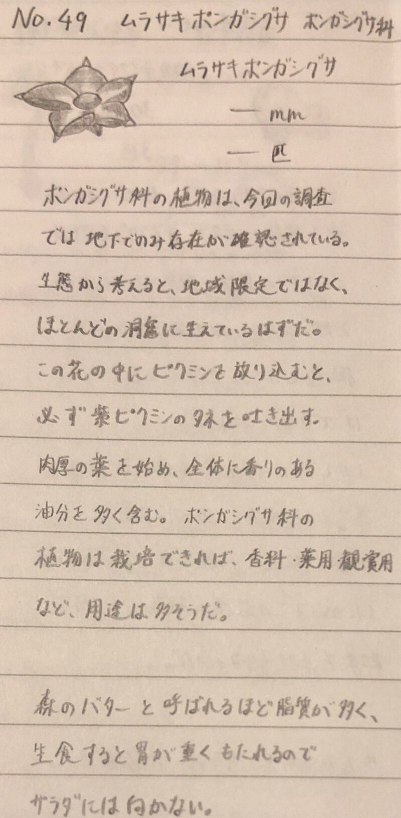 スラヨシ アンテ ポケダン空ネタバレしないでね V Twitter 生物図鑑no 49 ムラサキポンガシグサ アボカドだった 葉は花の下に見える緑の部分のことか スラヨシ アンテ ポケダン空ネタバレしないでね V Twitter 生物図鑑no 49 ムラサキポンガシグサ アボカドだった 葉は花の下に見える緑の部分のことか