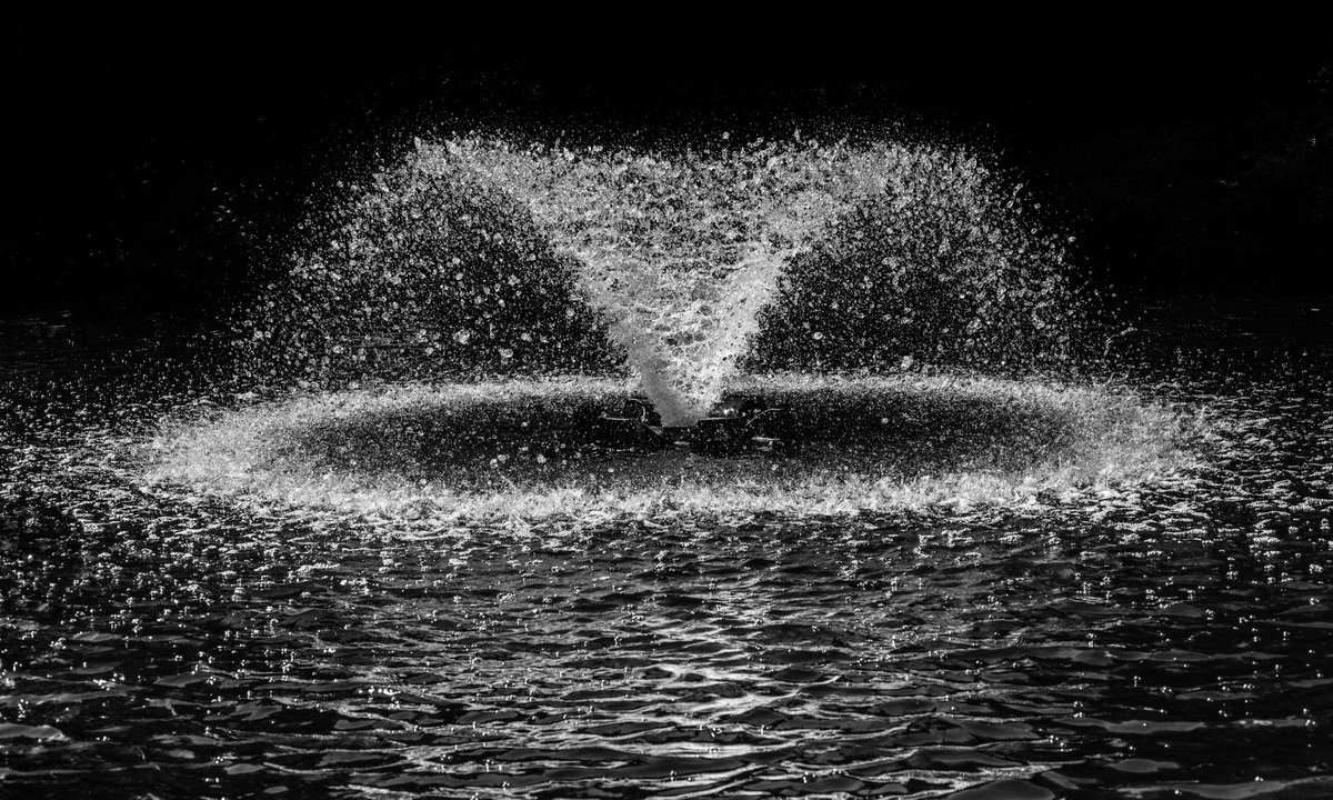RunCharlieLtd's tweet photo. FUN FACT FRIDAY...
Have you ever yawned and a bit of saliva shoots out of your mouth into the air? This process is known as Gleeking and is caused by your salivary glands being randomly stimulated. https://t.co/HUInyecT9T